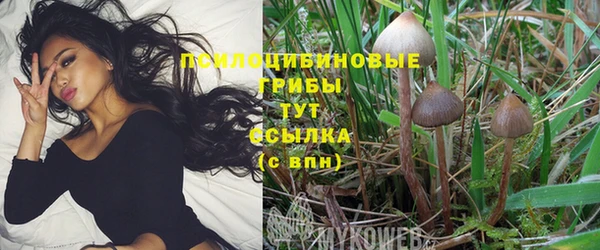гашиш Зеленодольск