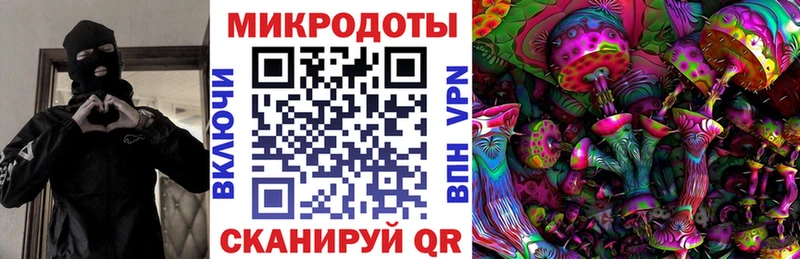 наркота  Перевоз  Галлюциногенные грибы Psilocybine cubensis 